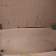 Bathroom Mold Removal Toronto
