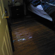 restoration thermal imaging