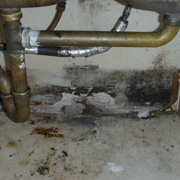 Mold Removal Remediation in Aurora