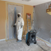 mold removal containment