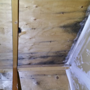 Oakville mold Removal remediation