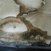 Mold Removal Remediation in Toronto