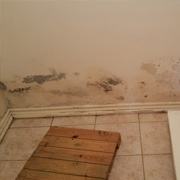 North York mold Removal remediation