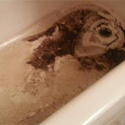 Sewage Backup Bath Toronto