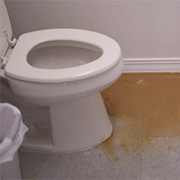 Sewage Bathroom Toronto