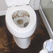 Sewer Backup Cleaning Toronto