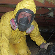 Sewer backup Toronto