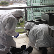 Toronto Condominium Biohazard Cleanup