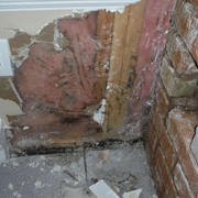 Restoration Canada mold Removal remediation service