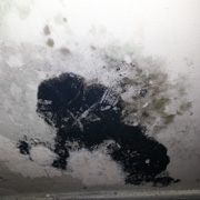 Toronto mold remediation