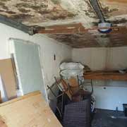 Toronto mold removal