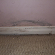 Wall Mold Removal Toronto